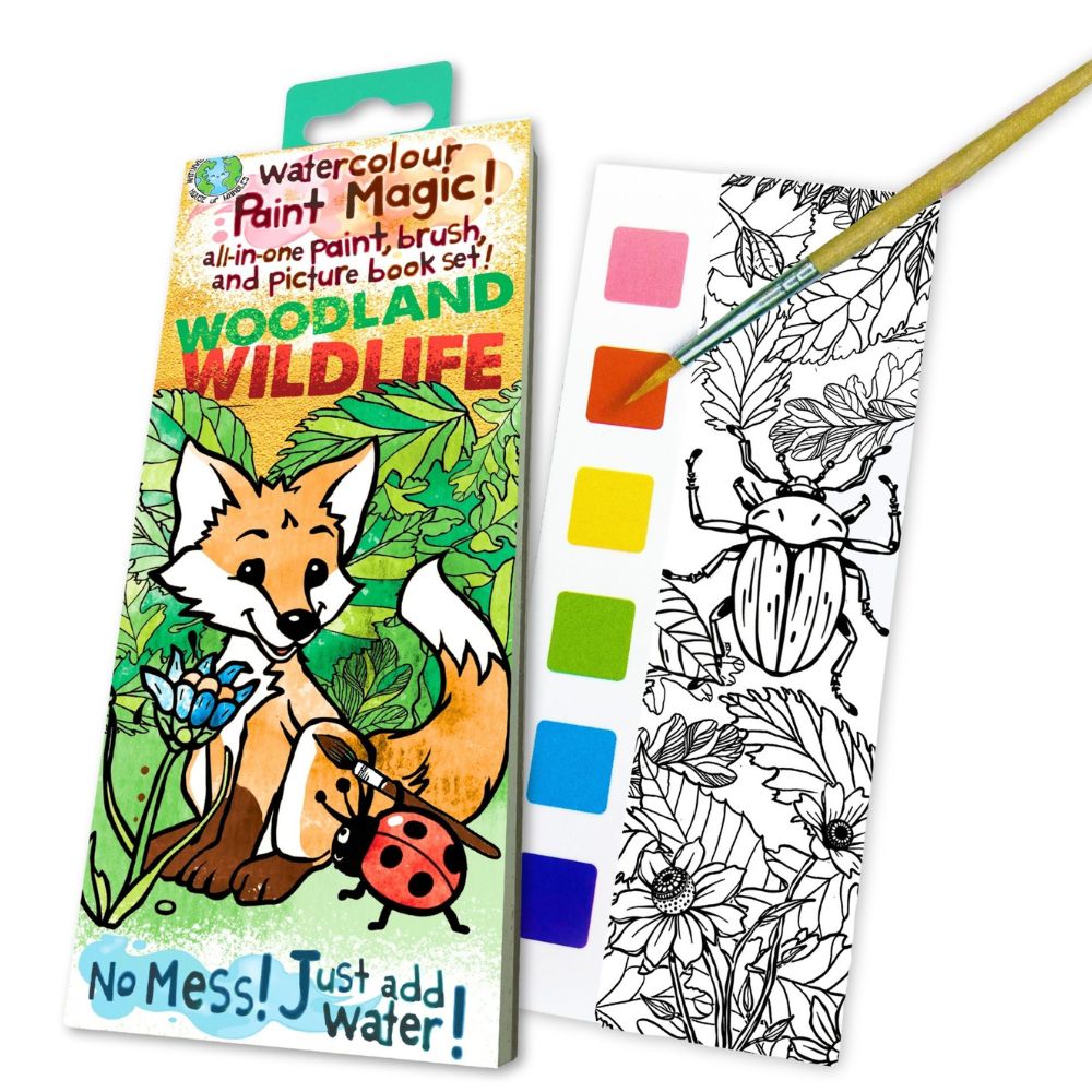 House Of Marbles Paint Magic - Woodland Wildlife