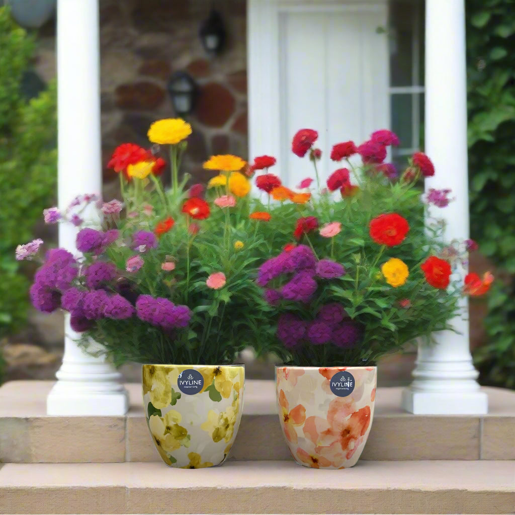 Ivyline 15cm Monza Abstract Floral Planter (Choice of 2)