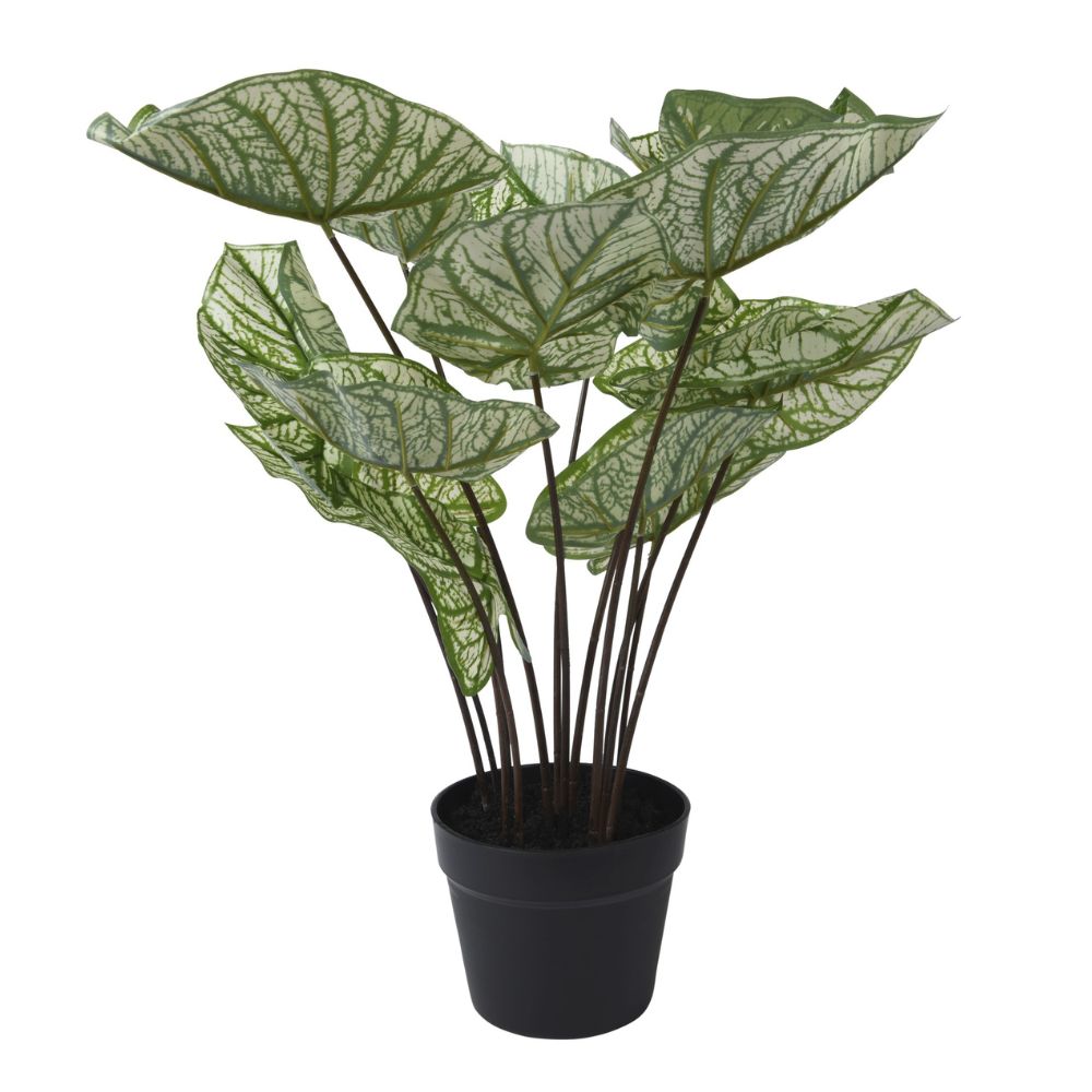 Kaemingk Artificial Caladium in Plastic Pot