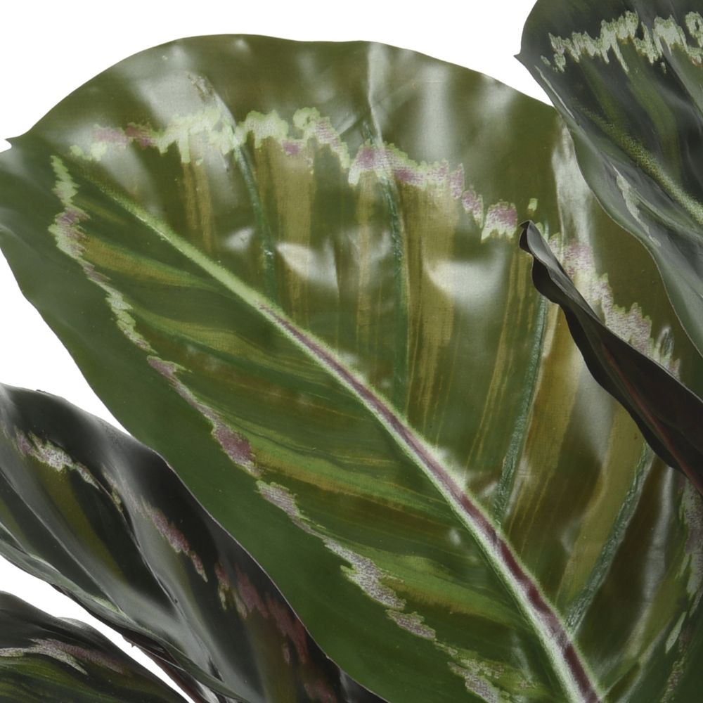 Kaemingk Artificial Calathea In Plastic Pot