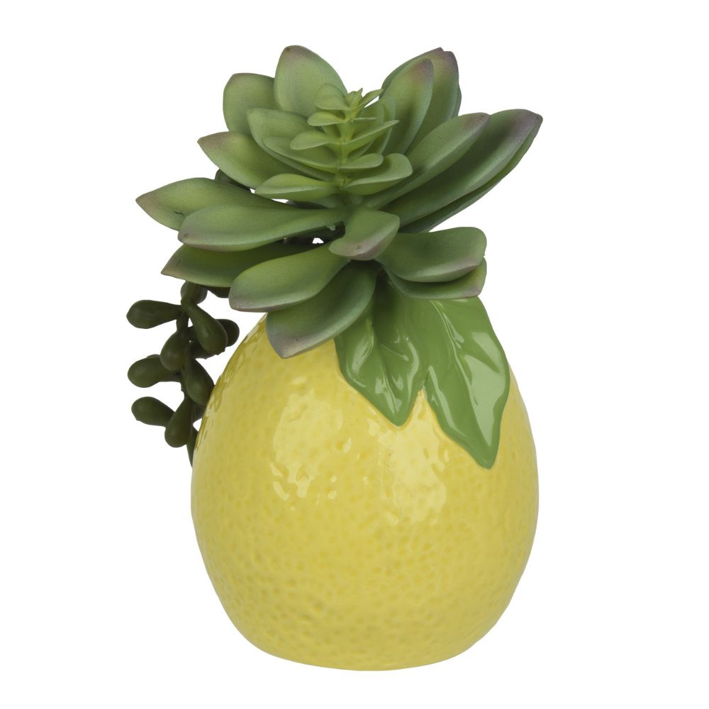 Decoris Artificial Succlent Plant in Lemon Dolomite Vase
