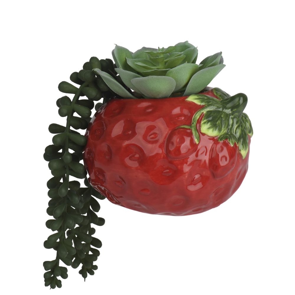 Decoris Artificial Succulent Plant in Strawberry Dolomite Vase