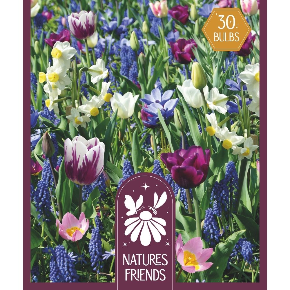Kapiteyn 15 Natures Friends Blue Shades Mixed Bulbs