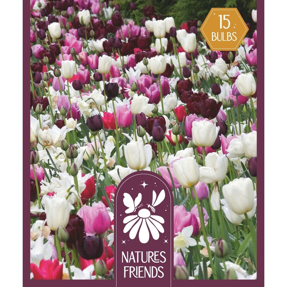 Kapiteyn 15 Natures Friends Pink Shades Mixed Bulbs
