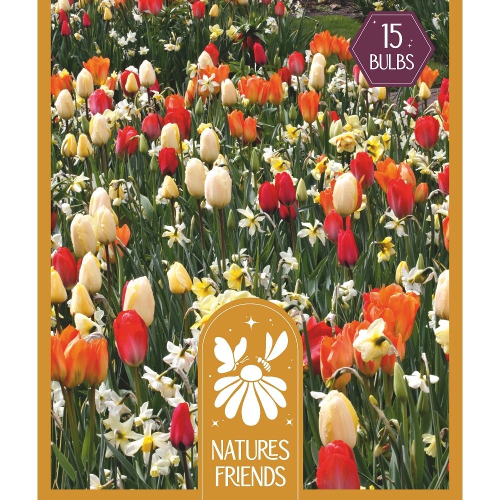 Kapiteyn 15 Natures Friends Sunshine Shades Mixed Bulbs
