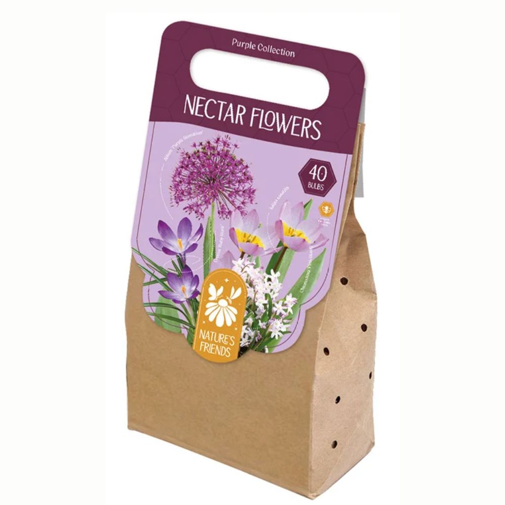 Kapiteyn Necture Flower Mixed Bulbs - Purple Collection