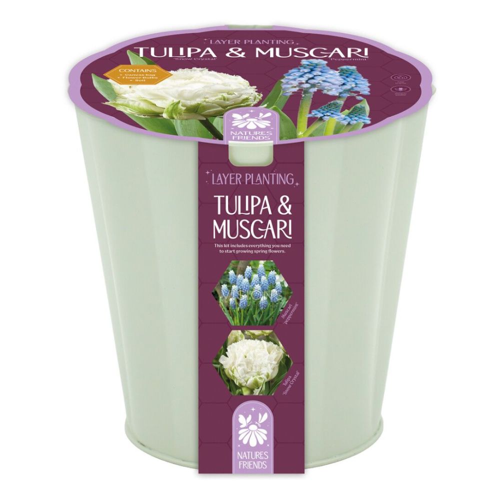 Kapiteyn Tulip & Muscari Gift Bulb Planter Pot - White