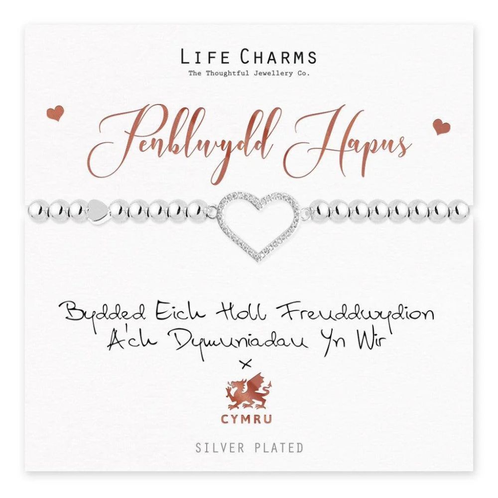 Life Charms Welsh - Penblwydd Hapus - Happy Birthday Silver Plated Bracelet