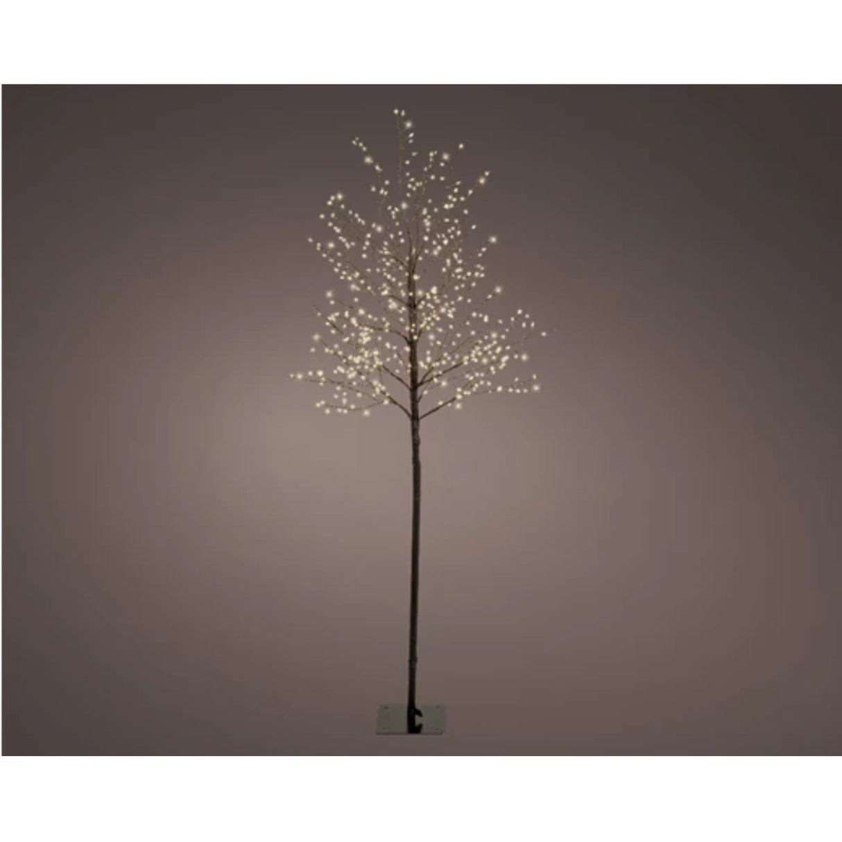 Lumineo 1.5m (5ft) Warm White Micro LED Black Twig Tree - 500643