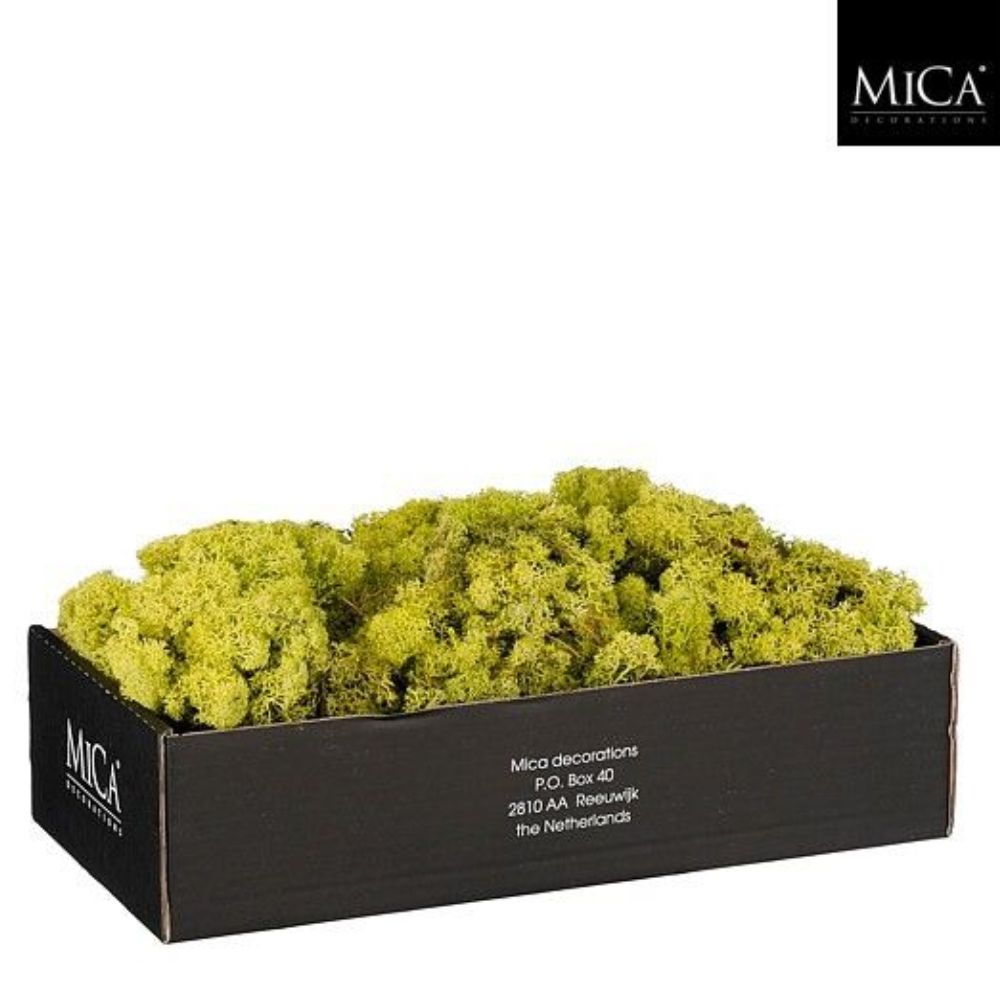Mica Decorations 500g Green Reindeer Moss