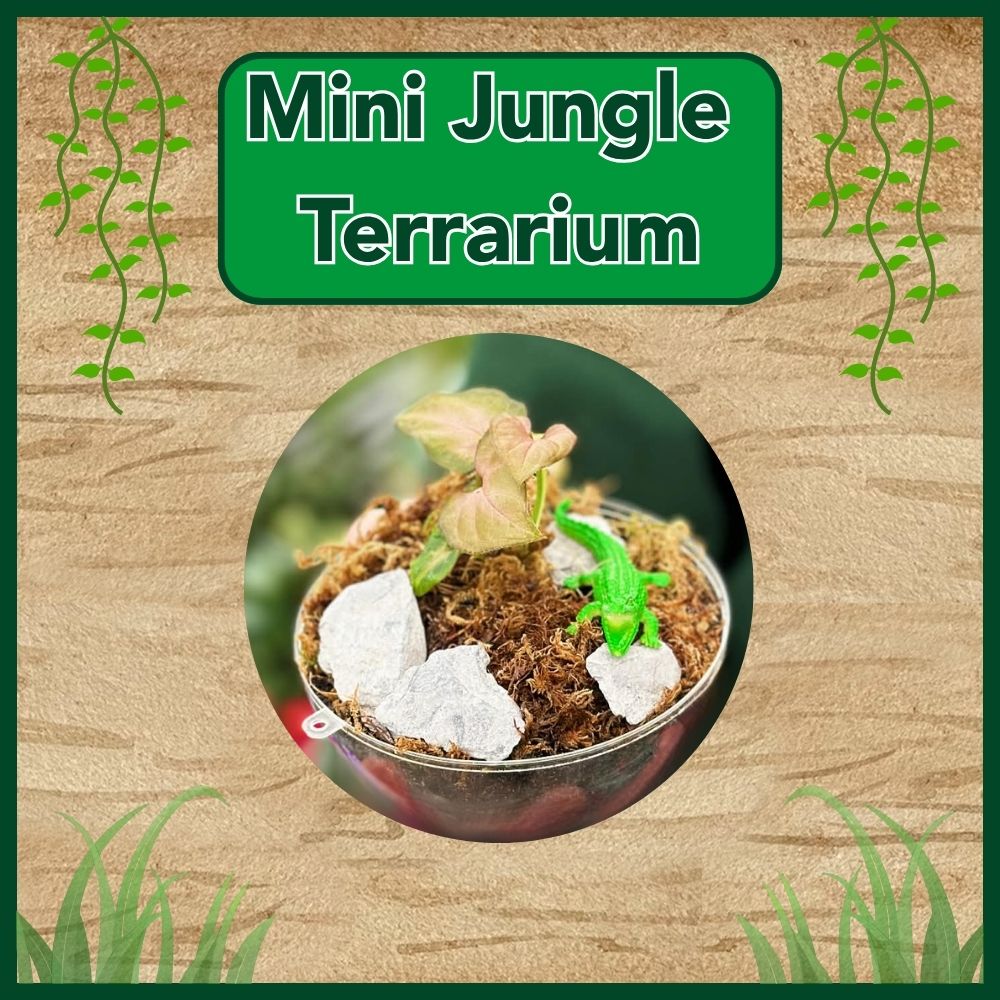Easter Activity Week 1 - Mini Jungle Terrarium 31st March