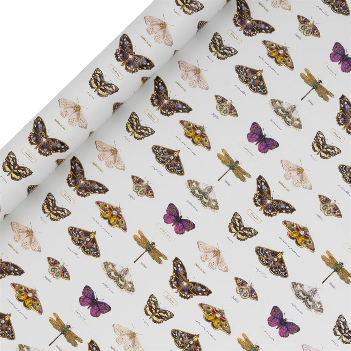 Glick 4m The Butterfly Collective Design Wrapping Paper Roll - White