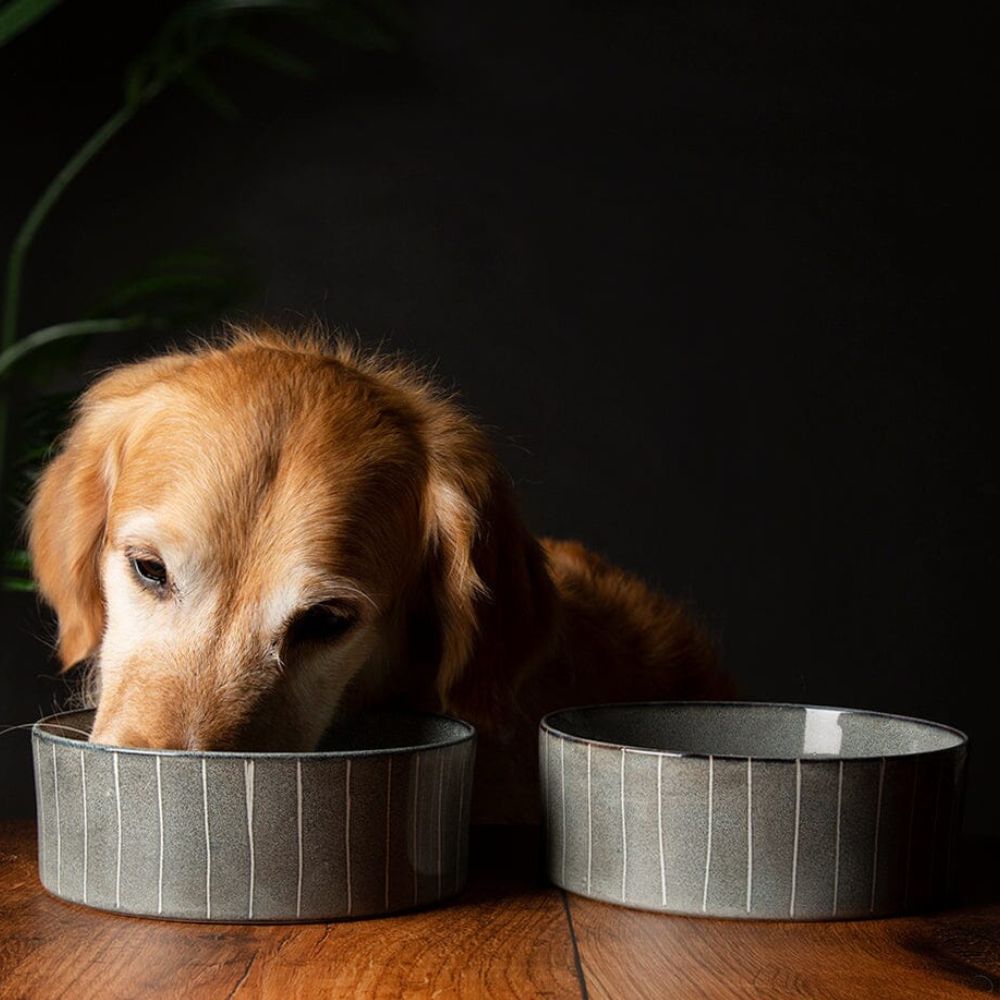 Scruffs 19cm Reactive Glaze Food/Water Bowel - Pinstripe Grey