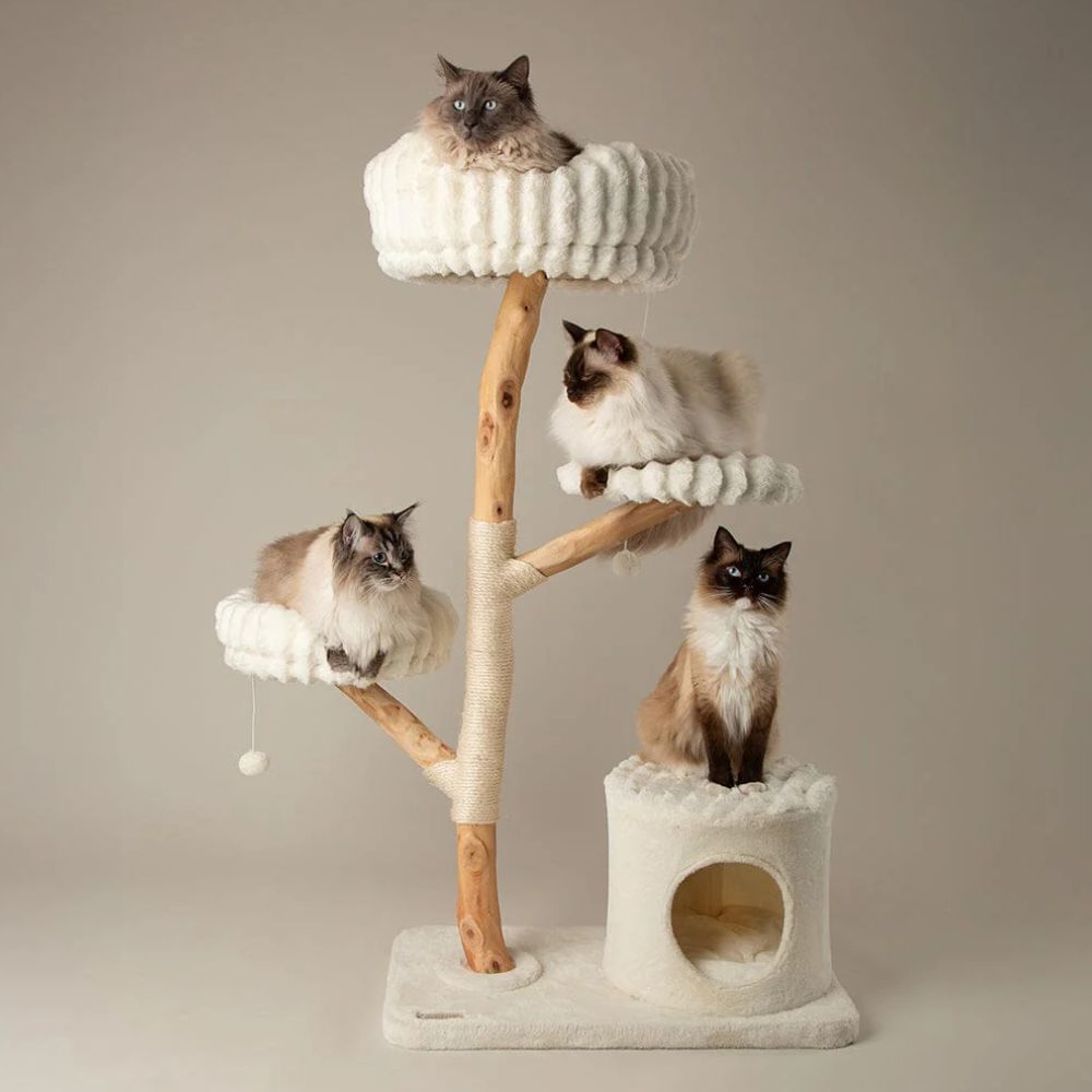 Scruffs Alpine Pyrenees Cat Tree - Cream