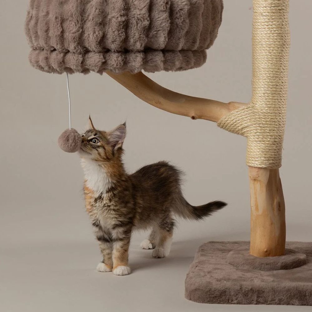 Scruffs Alpine Pyrenees Cat Tree - Taupe
