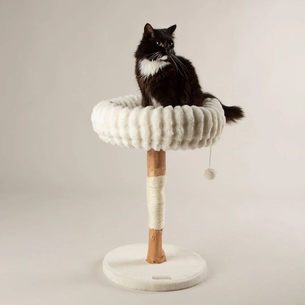 Scruffs Appalachians Cat Scratching Tree - Cream