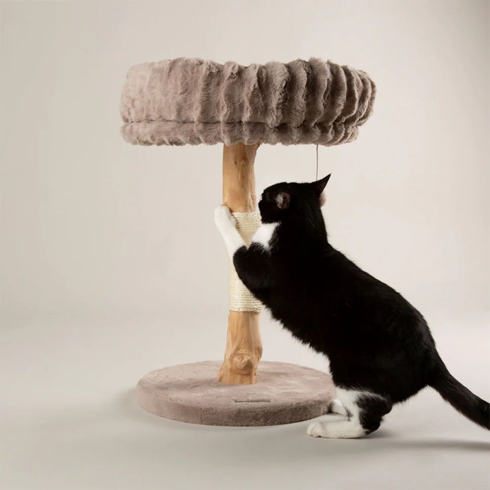 Scruffs Appalachians Cat Scratching Tree - Taupe