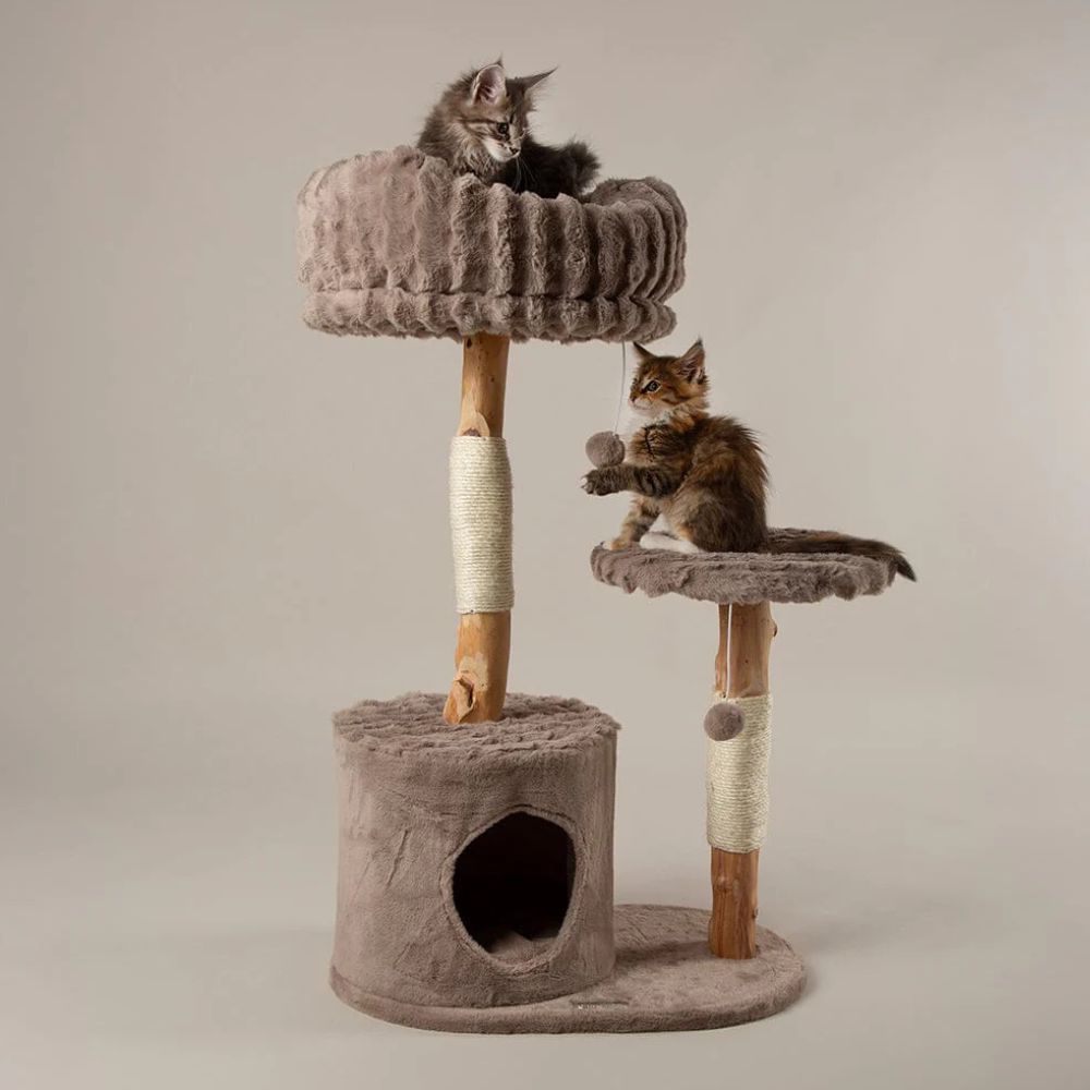 Scruffs Colorado Cat Scratching Tree - Taupe