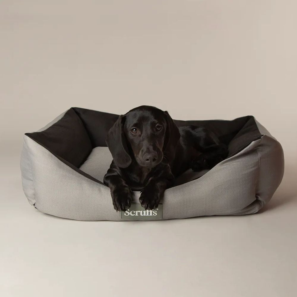 Scruffs Large Expedition Box Bed - Storm Grey