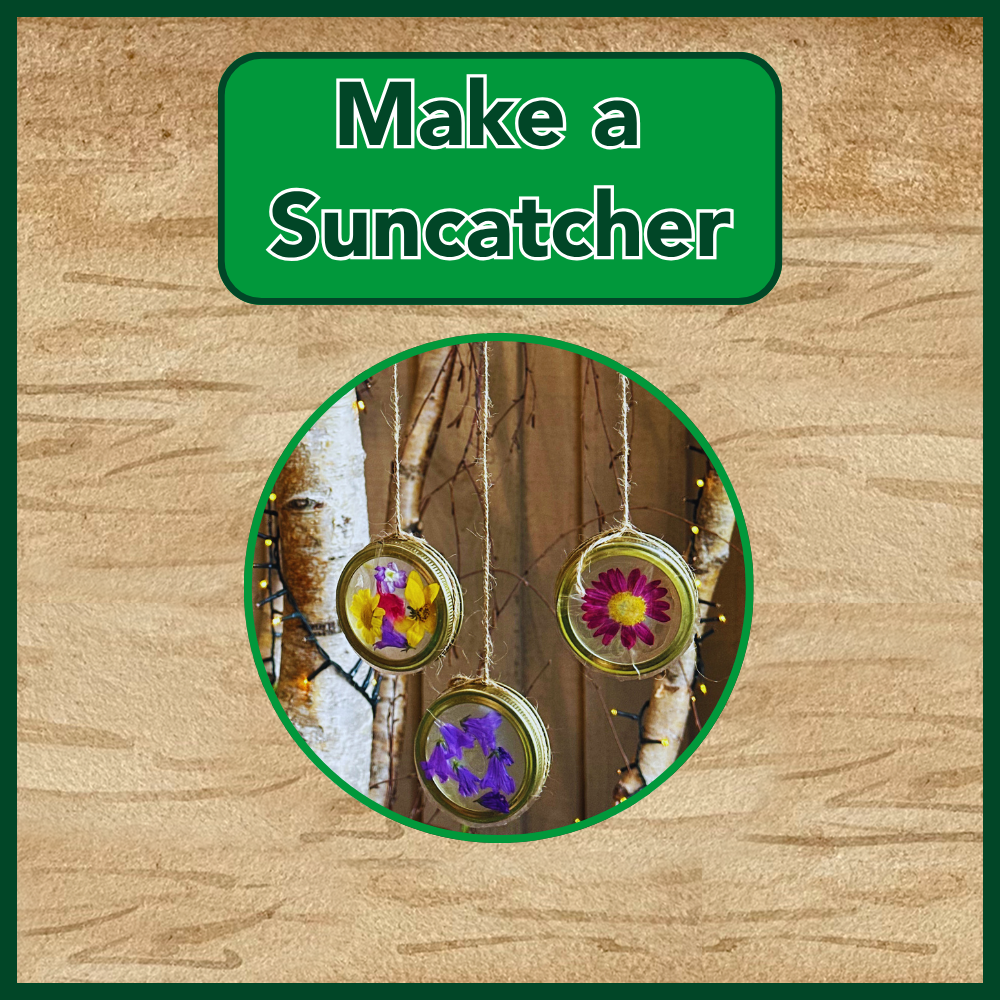Summer of Fun - Make a Suncatcher - 18th August