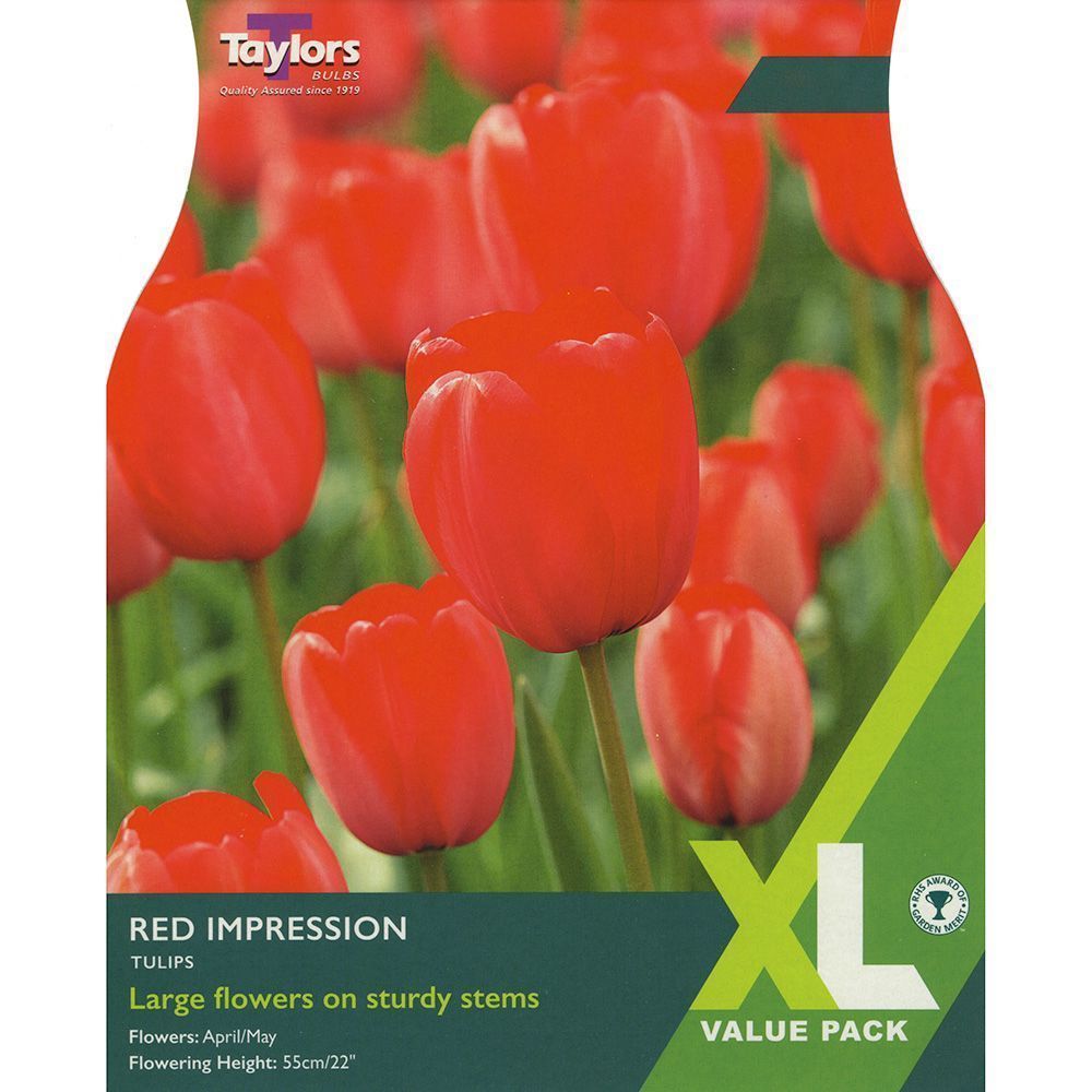 Taylors 7 Red Impression Tulip Bulbs