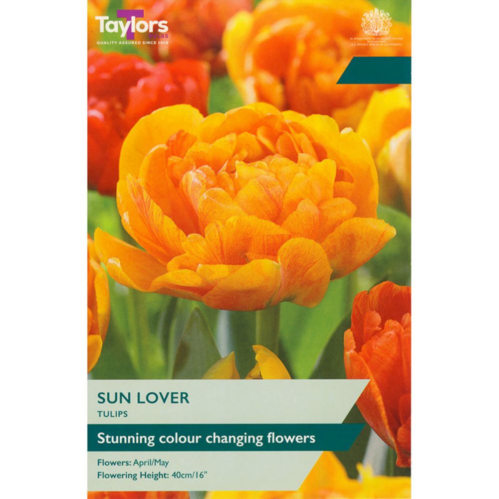 Taylors 7 Sun lover Tulip Bulbs