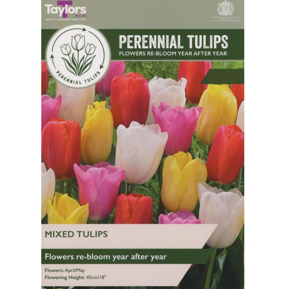 Taylors Perennial Tulips Bulbs - Mixed
