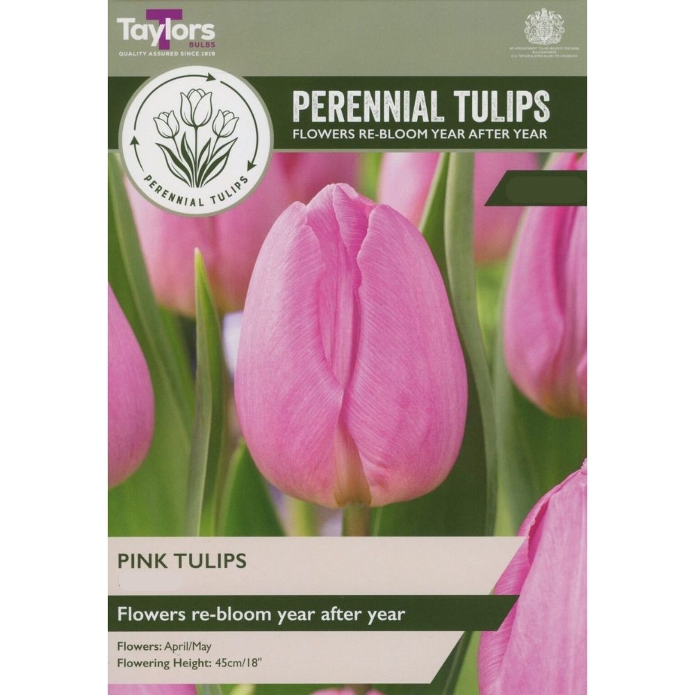 Taylors Perennial Tulips Bulbs - Pink