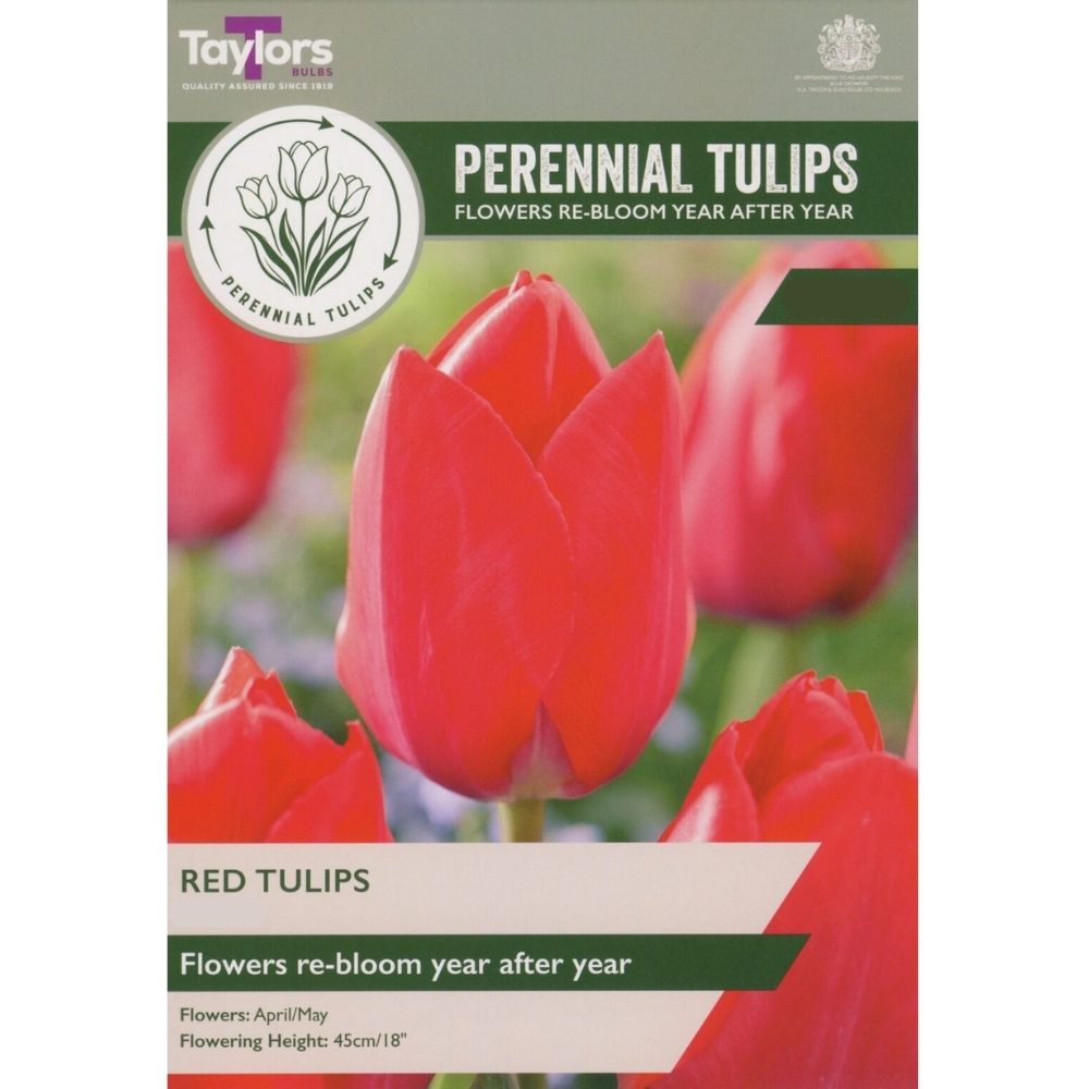 Taylors Perennial Tulips Bulbs - Red