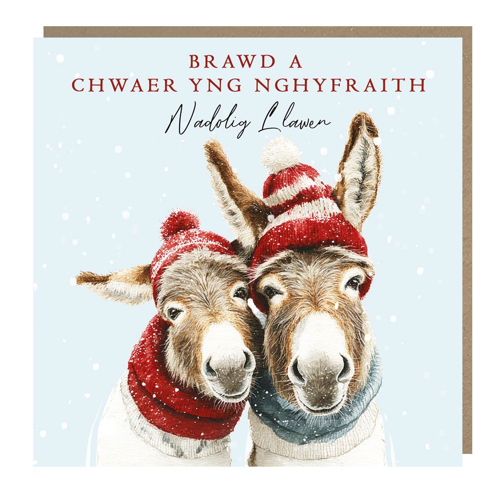 Tracks Publishing Brother & Sister in Law Donkeys Welsh Christmas Card