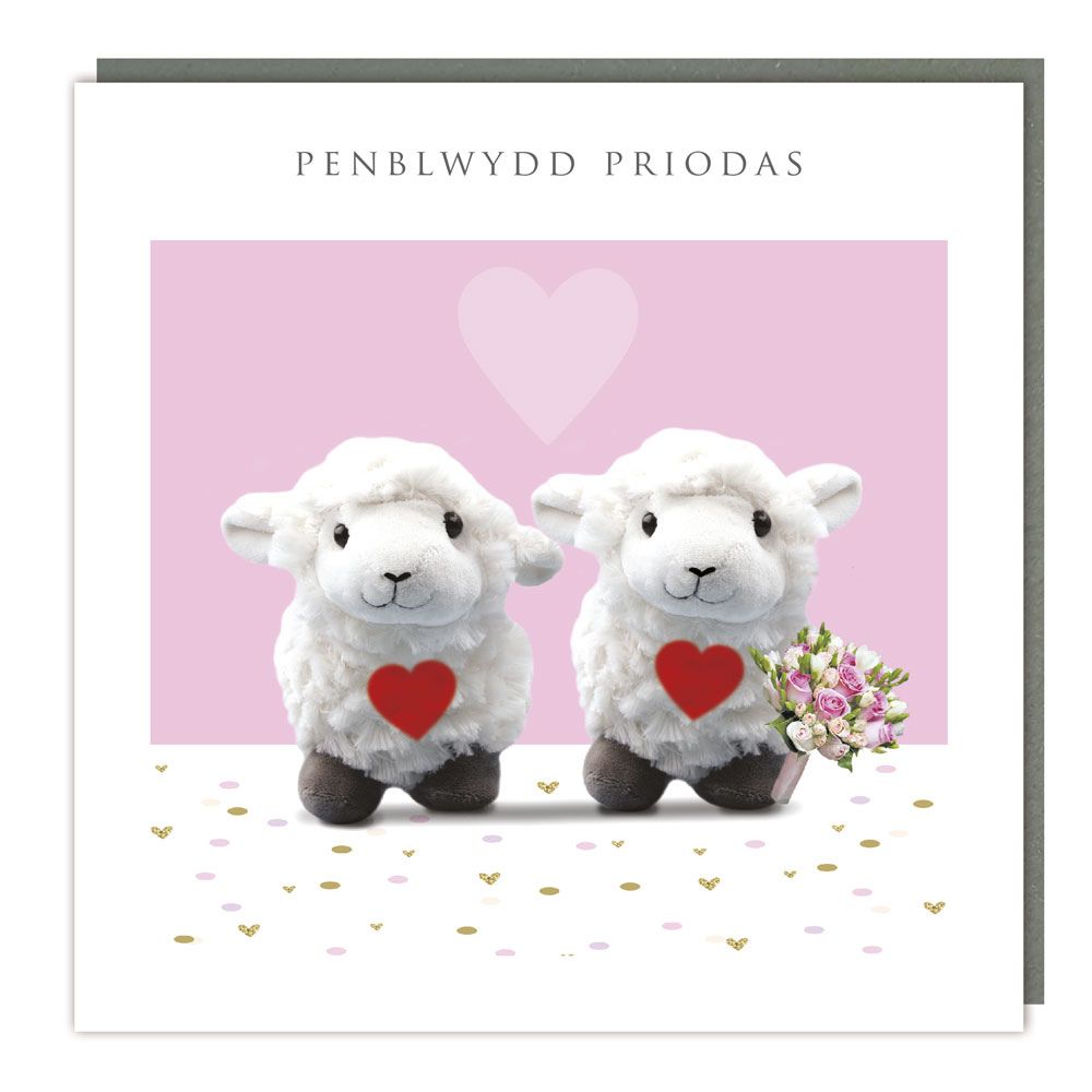 Tracks Publishing Penblwydd Priodas Sheep Welsh Anniversary Card