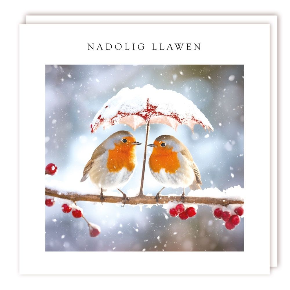 Tracks Publishing Robins Under Umbrella Welsh Christmas Cards - (Choice of 10)