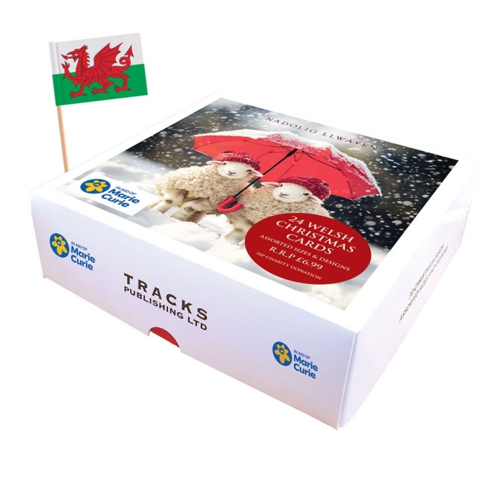 Tracks Publishing Sheep Assorted Welsh Christmas Cards - (Pack of 24)