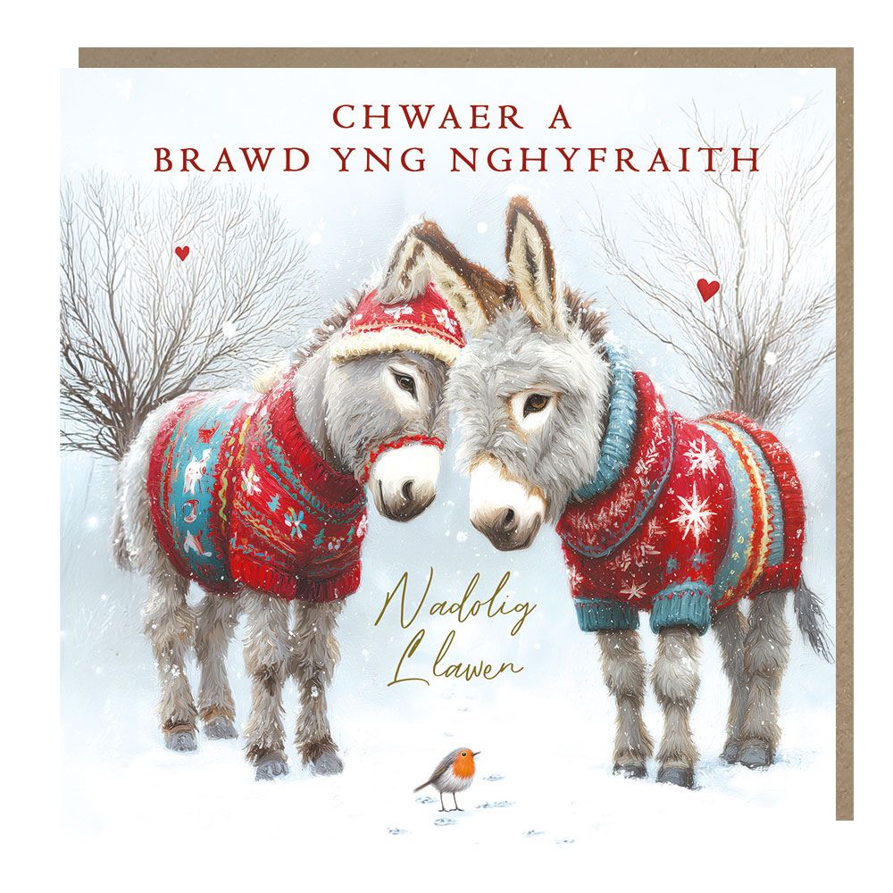 Tracks Publishing Sister & Brother in Law Welsh Christmas Card