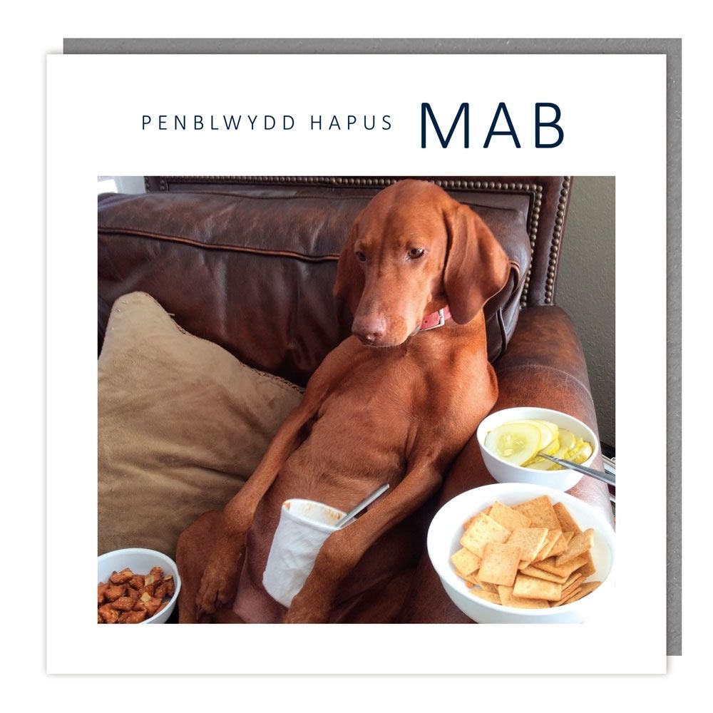 Tracks Publishing Son Chilling Dog Welsh Birthday Card