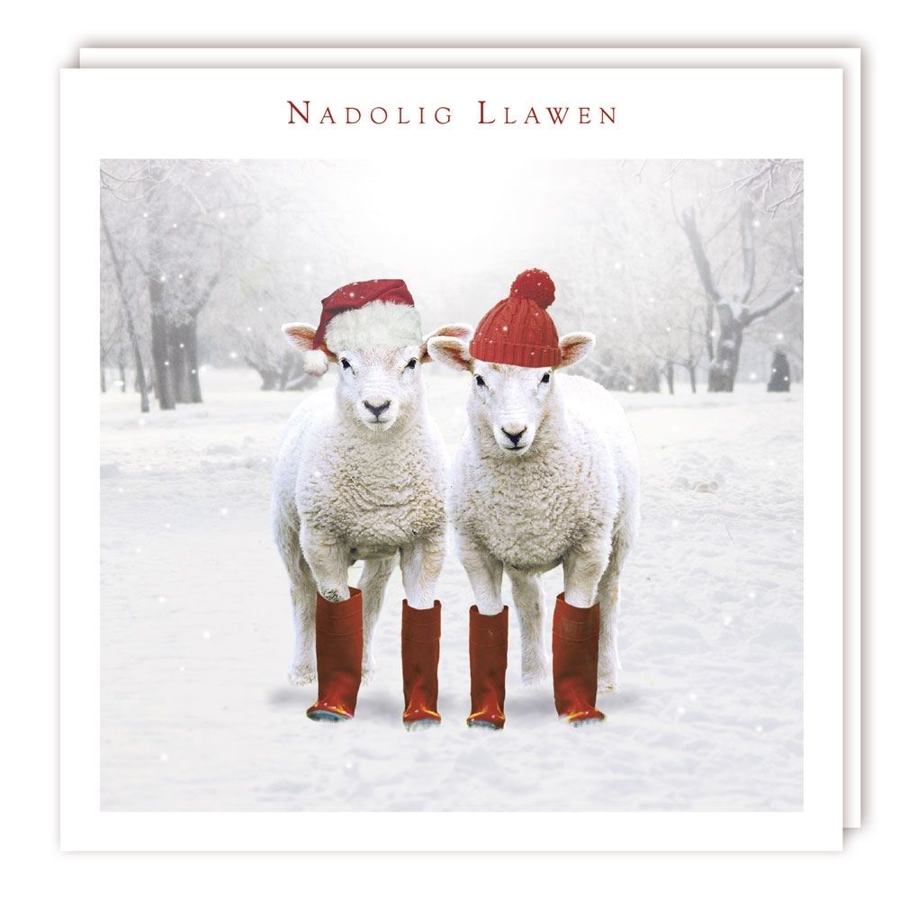 Tracks Publishing Two Sheep with Wellies Welsh Christmas Card
