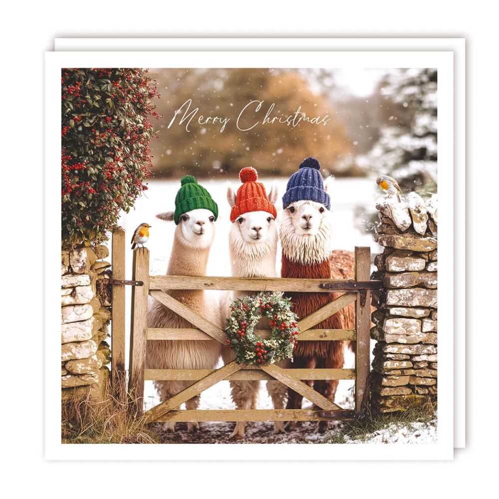 Tracks Xmas Lllamas with Hats Sparkle Christmas Card - (Pack of 5)