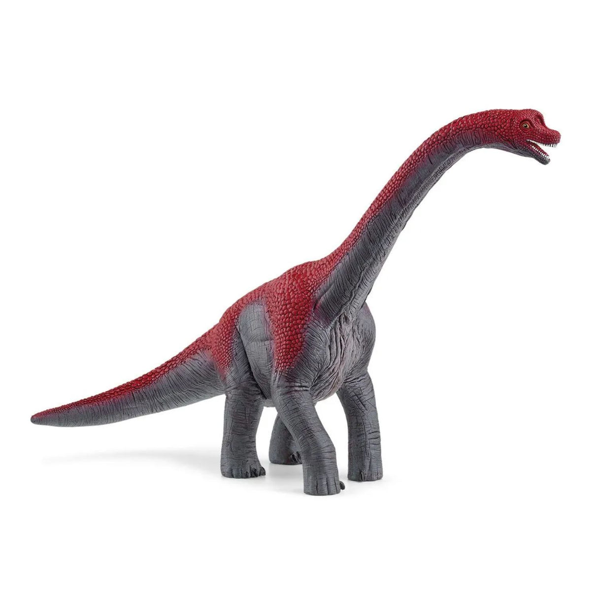 Schleich Brachiosaurus