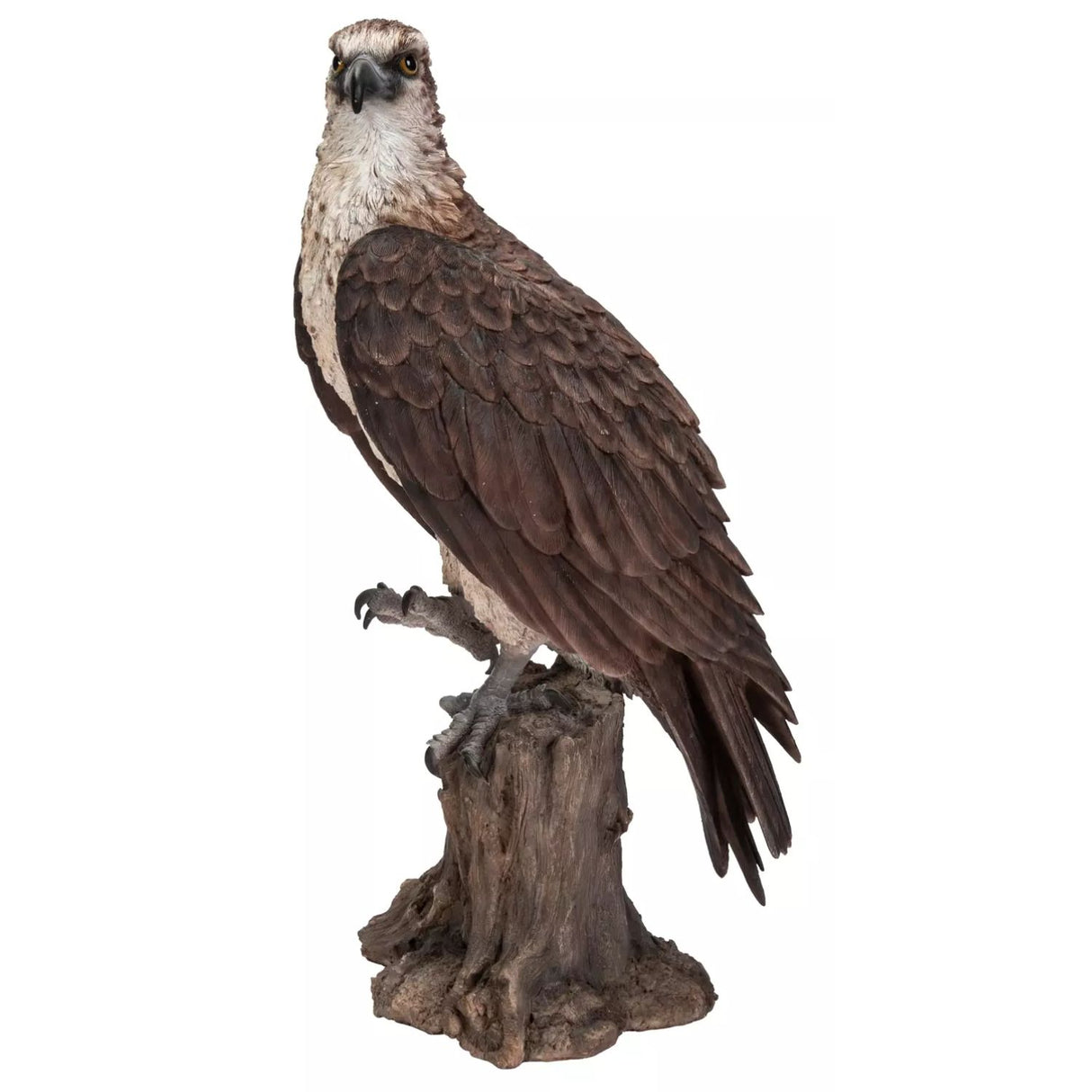 Vivid Arts 20.5cm British Bird Osprey Real Life Resin Ornament