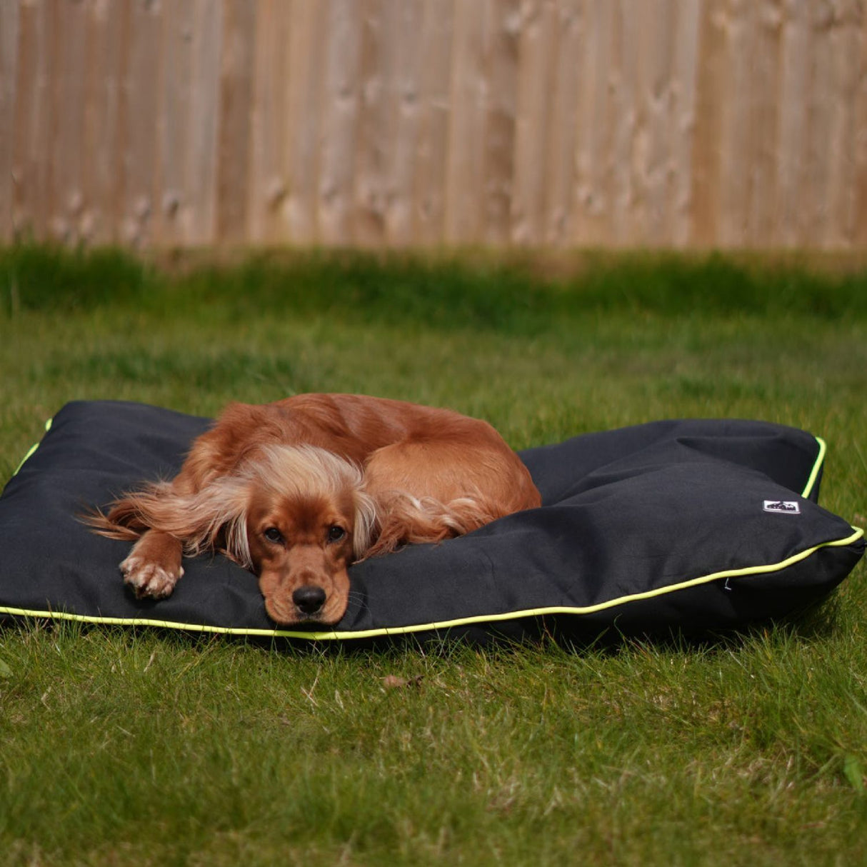 Ancol 75cm Hi Vis Extreme Bed