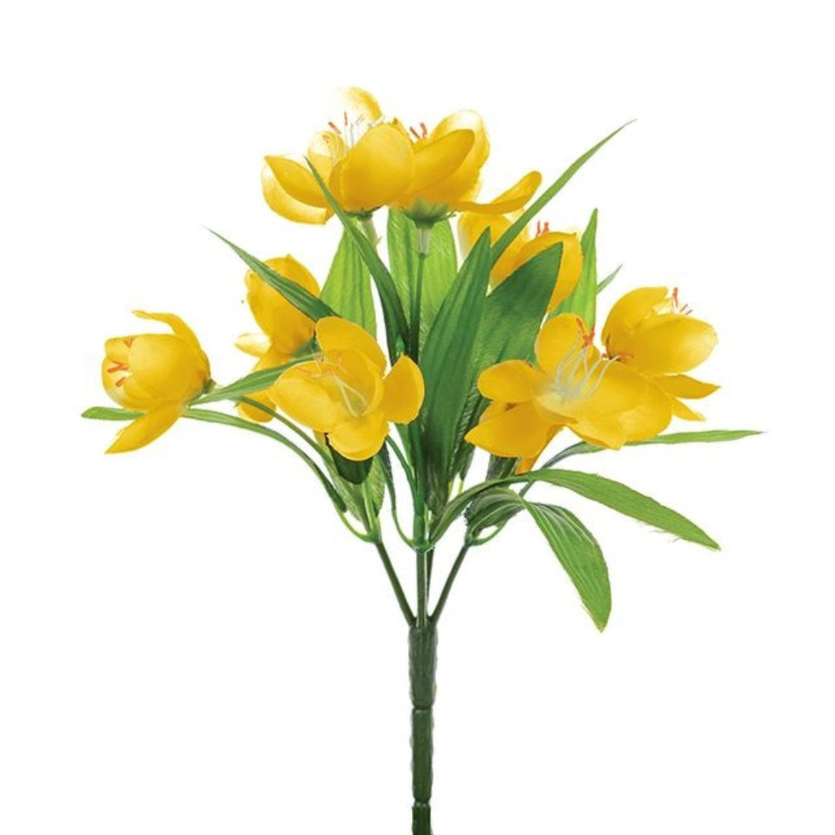 CB Imports 23cm Yellow Crocus Bush