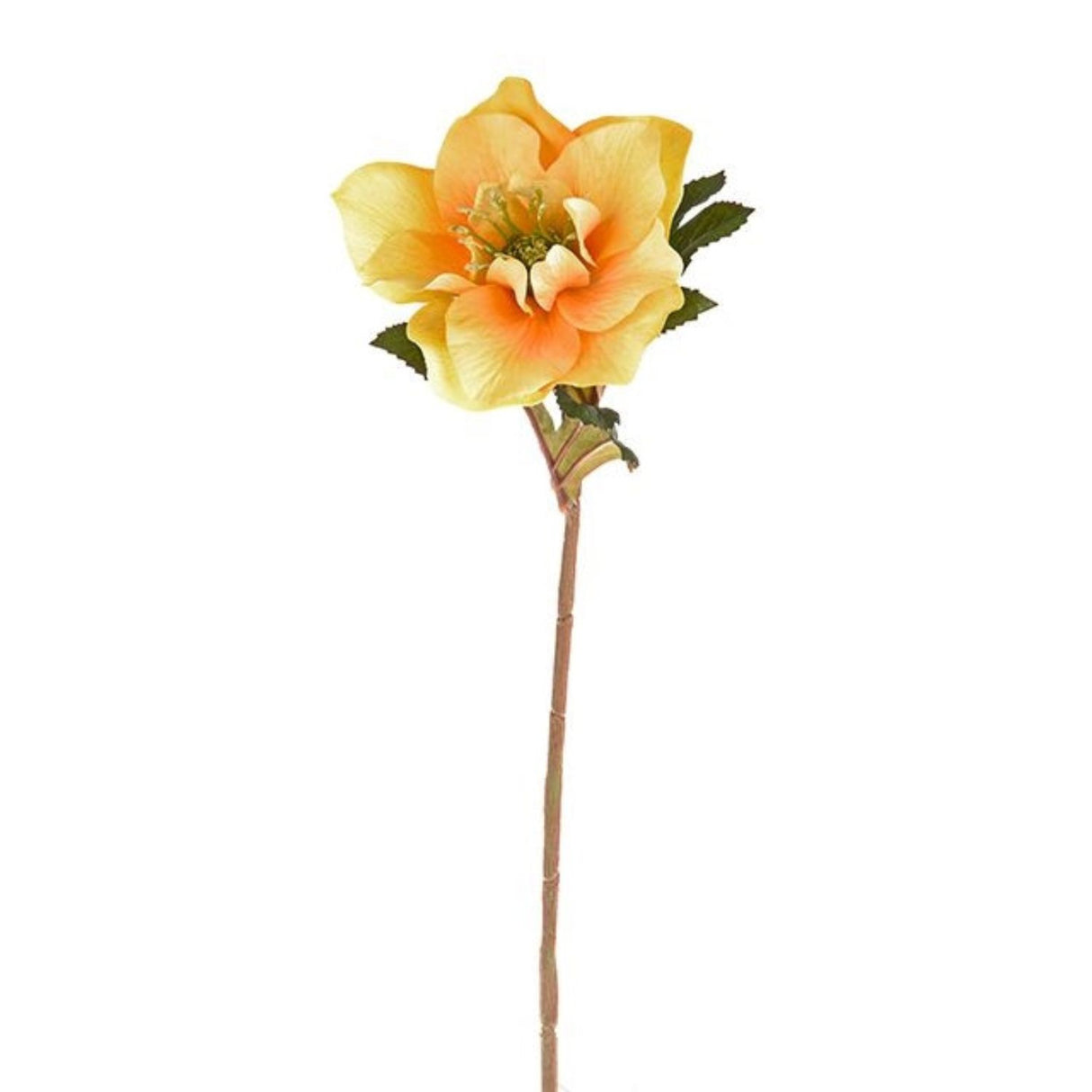CB Imports 49cm Artificial Yellow Hellebore Stem