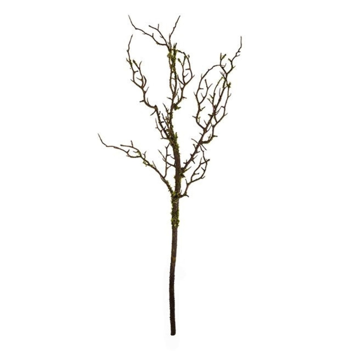 CB Imports 75cm Moss Branch