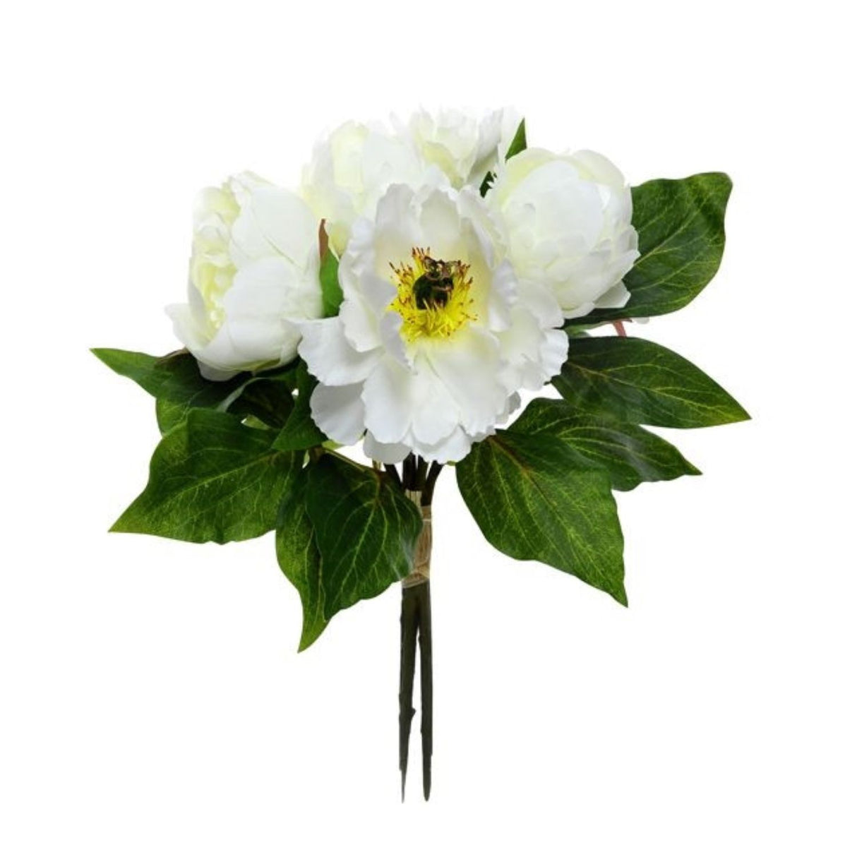 CB Imports Peony Cream Bundle
