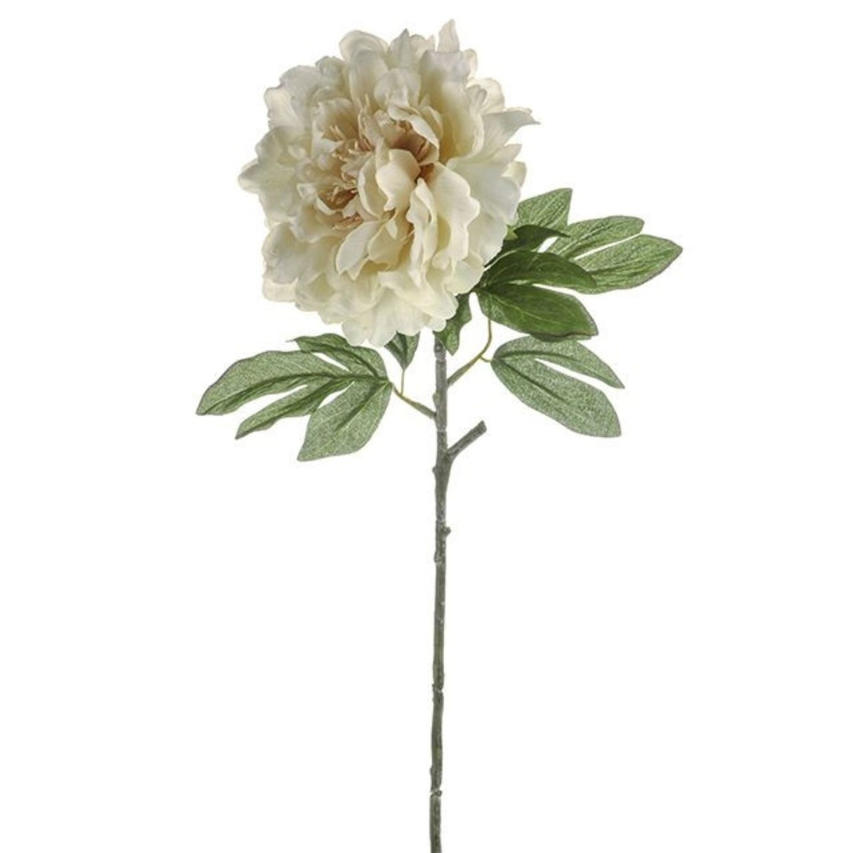 CB Imports MIA Peony Cream 63cm