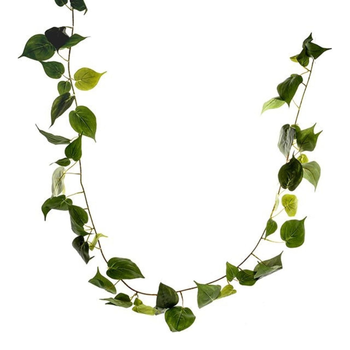 CB Imports 183cm Philodendron Garland