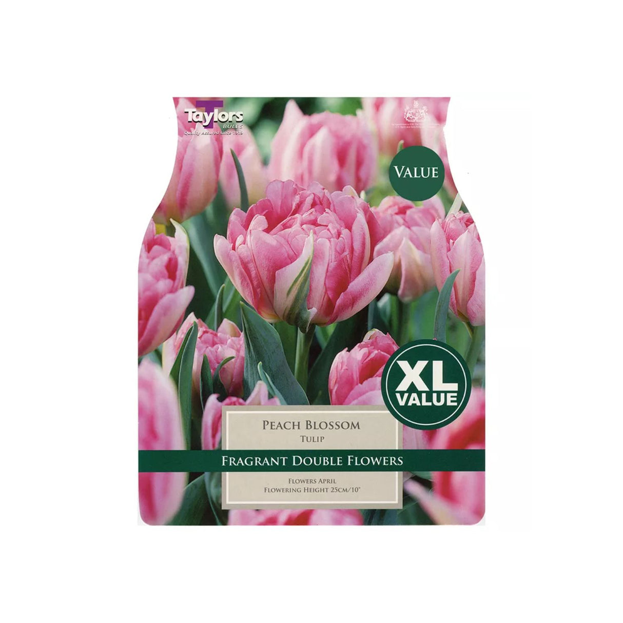 Taylors 12 Peach Blossom Tulip Bulbs