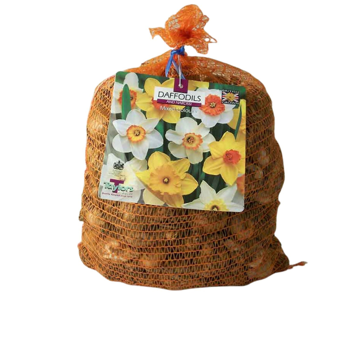 Taylors 5kg Narcissus Mixed For Naturalising