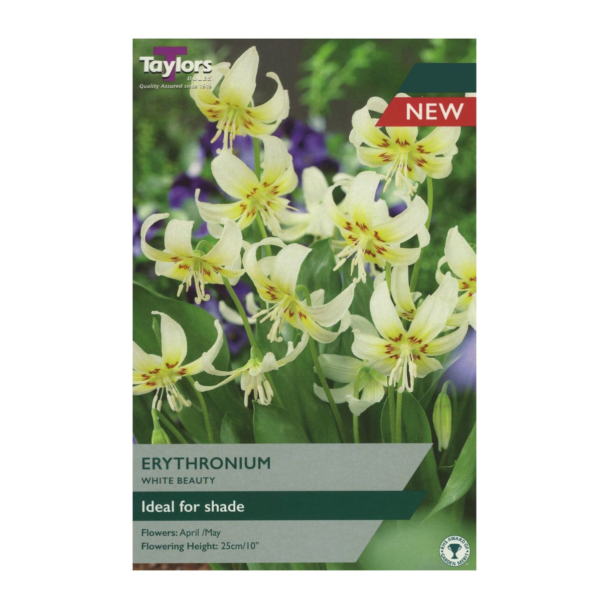 Taylors 2 Erythronium White Beauty