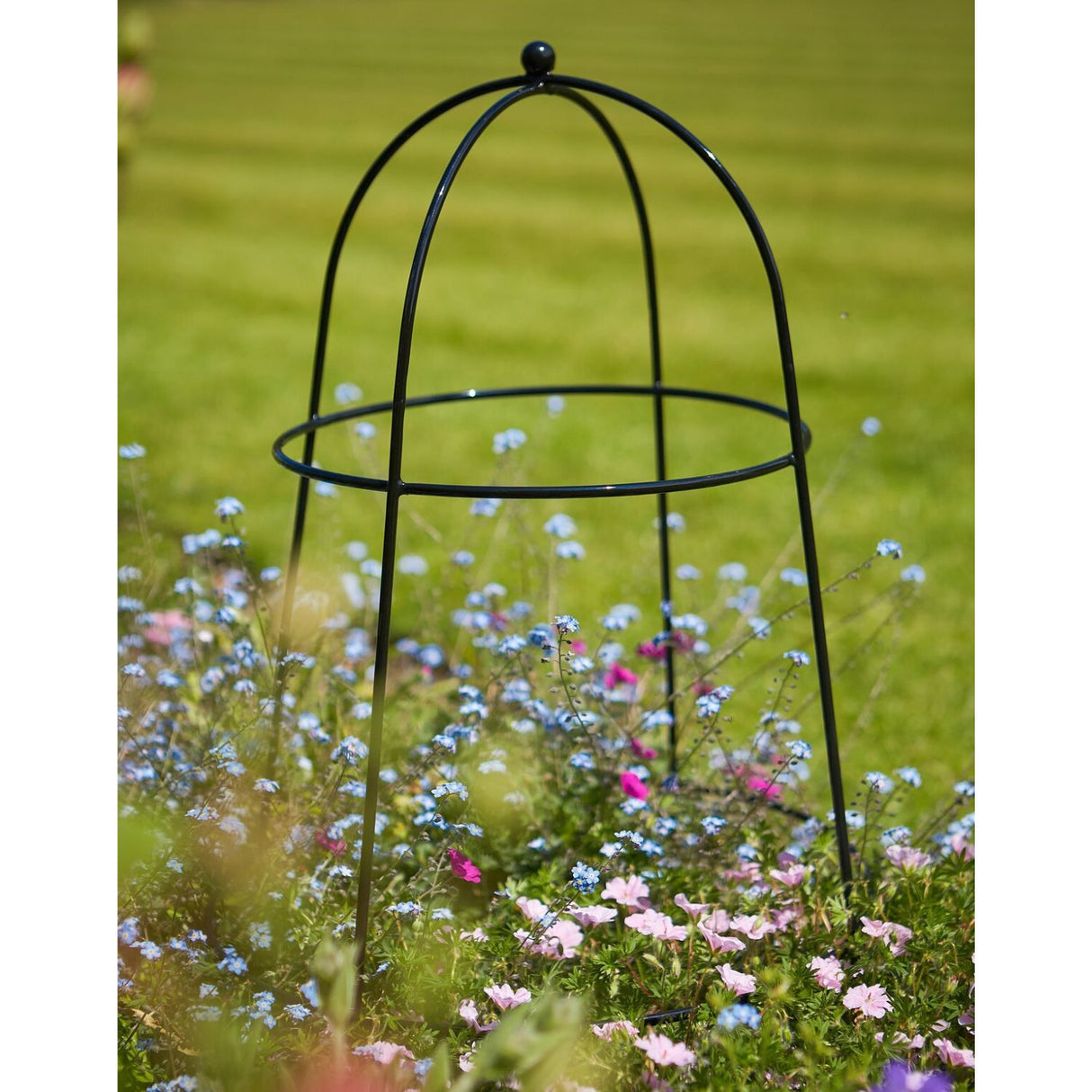 Tom Chambers 70cm Flower and Plant Cloche